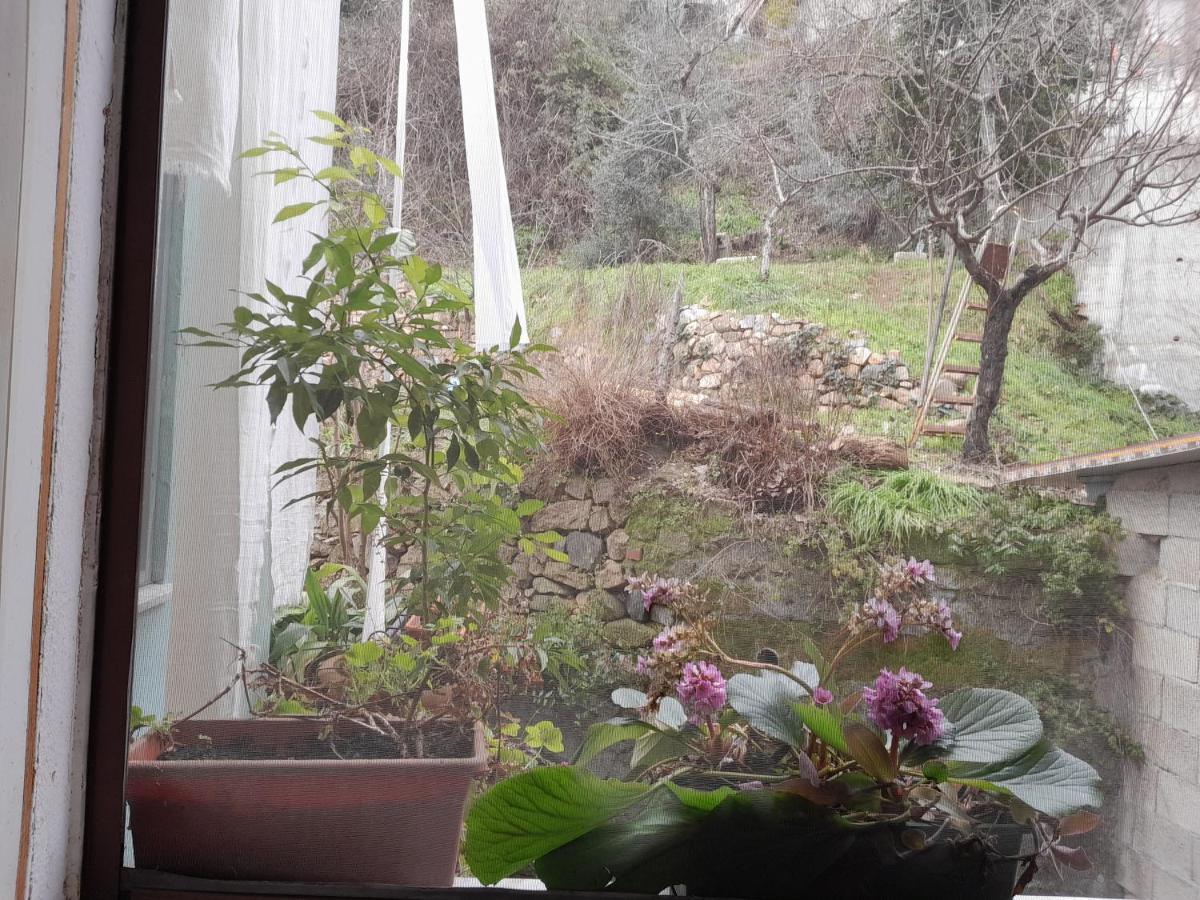 Antichi Sapori Da Speranza Villa Gavoi Szoba fotó